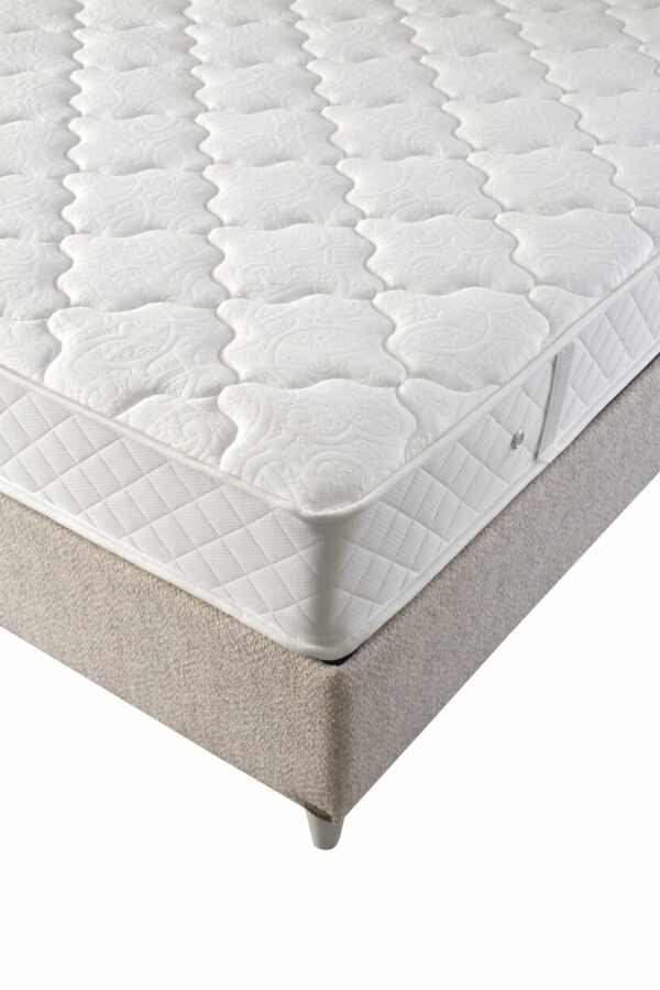 Florida Baza